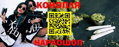 Альфа ПВП Обь